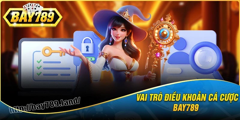 Vai trò của điều khoản và điều kiện bay789